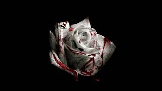 d4vd  Romantic Homicide Official Audio [upl. by Talich444]