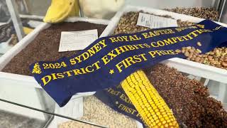 Sydney Royal Easter Show 2024 Day 6  Awardwinning produce from the District exhibits eastershow [upl. by Rfinnej589]