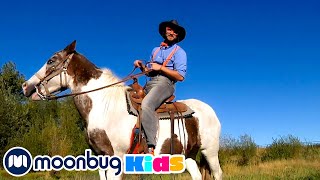 Learn About Horses  Blippi  Kids Learn  Sing Along [upl. by Edroi]