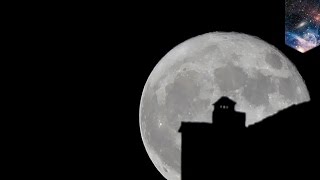 Supermoon biggest moon of the century so far will appear on November 14  TomoNews [upl. by Rechaba711]