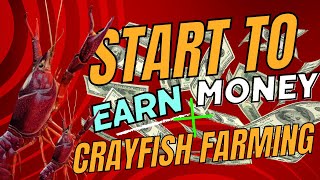 Revolutionize Your Garden with Crayfish Farming Simple and Sustainable [upl. by Suoirad726]