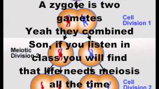 Teach Me Cell Meiosis Dougie Meiosis Rap [upl. by Yxor139]