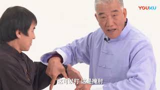 Cheng Style Bagua routine and technical application Liu Jing Ru [upl. by Eatnoid]