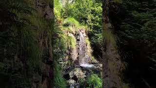 Magical Welsh Forest EryriSnowdonia North Wales  Aug 24 [upl. by Urien]