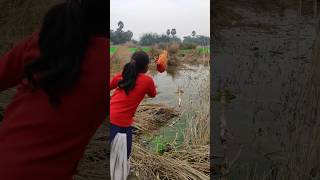 अपने ही बच्चे कोफेक दीपानीमें 😭🙏viralvideo youtubeshorts [upl. by Sacksen]