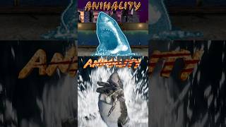 Mortal Kombat Shark Animality Evolution🦈 [upl. by Aromat]