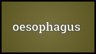 Oesophagus Meaning [upl. by Enasus]