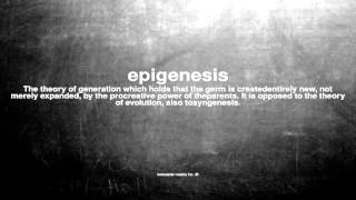 What does epigenesis mean [upl. by Egoreg]