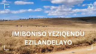 Imiboniso yeziqendu ezilandelayo Amasiko nezithethesincokola ngesintu [upl. by Nonrev]