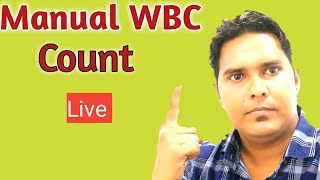 How to count wbc under microscope  wbc count on slide method  Manual wbc count formula [upl. by Ventura]