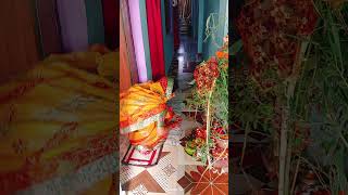 Main tulsi tere agaan k ❤️❤️youtubeshorts ytshorts chhathpooja [upl. by Reamonn]