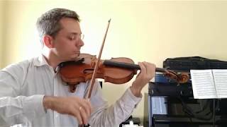 Pablo de Sarasate  Spanish Dances No1  Malaguena Op 21 [upl. by Otnicaj]