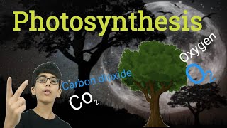 Respiration and photosynthesis [upl. by Ausoj]