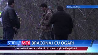 BRACONAJ CU OGARI  MDI TV [upl. by Kcirdorb]