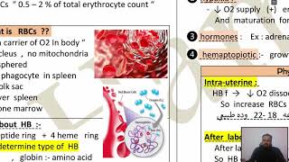 pediatrics  Hematology  lecture 2 المحاضره الثانيه  طب الاطفال د حمدي فتحي [upl. by Raoul772]