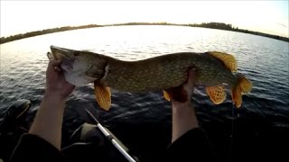 Pêche dun gros brochet sur une canne extra light [upl. by Niletak437]