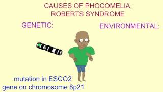 GENETIC amp ENVIRONMENTAL CAUSES OF PHOCOMELIA [upl. by Haianeb]