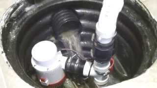 Zoeller M98 Sump Pump Workout [upl. by Barbara581]