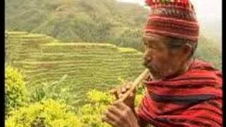 Banaue Rice Terraces [upl. by Aiht]