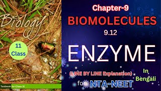 Enzyme for NEETHarunbiozone [upl. by Bobker377]