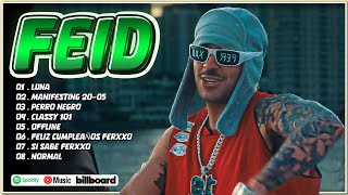 Feid Mix Éxitos 2024  Lo Más Popular de Feid 2024 [upl. by Lorilyn]