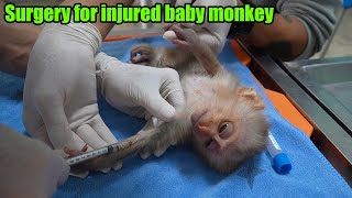 Take the injured baby monkey to the vet hospital for treatment after the rescue [upl. by Ku333]