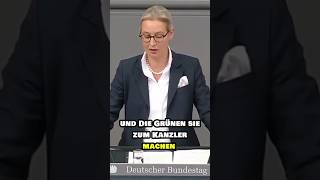 Alice Weidel zerlegt März Sie wollen keine Politikwende für Deutschland [upl. by Chemush493]