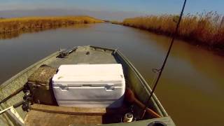 40hp yamaha 2 stroke running shallow [upl. by Plank485]