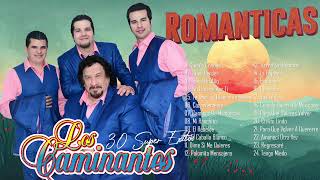 LOS CAMINANTES Y SUS MEJORES CUMBIAS DE LOS 90S  LOS CAMINANTES SUPER CUMBIAS BAILABLES [upl. by Eeneg]