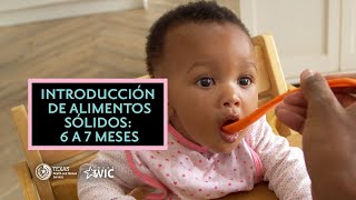 Introducción de Alimentos Sólidos 6 a 7 Meses  Texas WIC para el Apoyo de la Lactancia [upl. by Rye]