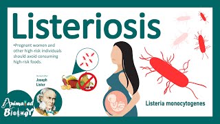 Listeriosis Listeria Monocytogenes  Sources Pathophysiology Symptoms Diagnosis Treatment [upl. by Arvad]