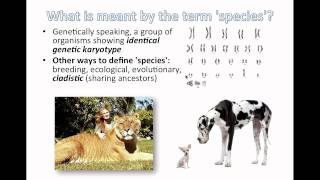 Species and Speciation IB Biology [upl. by Balough714]