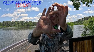 Lake Conroe Sam Rayburn quick tip for bass fishing [upl. by Penman]