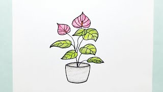 Drawing Plant Anthurium [upl. by Irej]