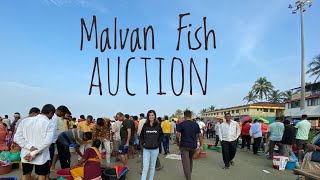 मालवण मासे लिलाव  Malvan fish auction  Malvan fish market  Sindhudurg  Devbag [upl. by Suiram]