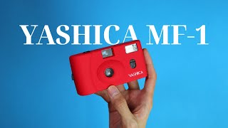 Yashica mf1 How to Use  Sample Photos [upl. by Anile]