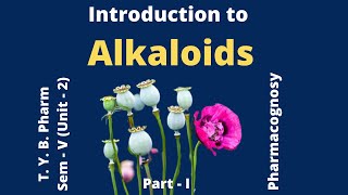 Introduction to Alkaloids PartI [upl. by Cliffes519]