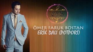 ÖMER FARUK BOSTAN  ERİK DALI POTPORİ 7 DK KARAOKE 2020 [upl. by Denni]