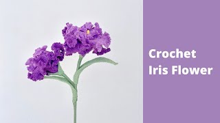 How to Crochet Iris Flowers ✿ Crochet Flower Bouquet Easy Tutorial [upl. by Hadihsar]