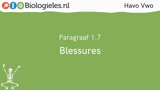 Havo Vwo 1  Stevigheid en beweging  7 Blessures  Biologielesnl [upl. by Htebizile]