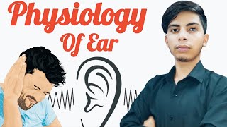 How Your Ear ACTUALLY Works Anatomy amp Function of the Ear [upl. by Ennayrb]