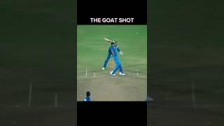 King goat shot make shorts cricket [upl. by Obla]