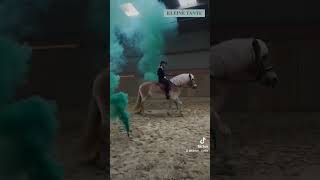 PyrotechnikTrainingskurs und Trainingspakete unter kleinetantecom pferde pyrotechnik equestrian [upl. by Irret]