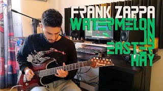 Frank Zappa  Watermelon in Easter Hay Solo [upl. by Moon]