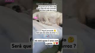 👣🐾 Quando ADOTAMOS QUEREMOS SABER UM pouco SOBRE o PET [upl. by Anwahsed744]