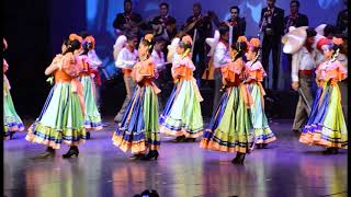 BALLET FOLKLORICO DEL ATENEO FUENTE SALTILLO MEXICO  LA REVOLUCION [upl. by Nhguav]