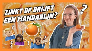 Zinkt het of drijft het een mandarijn 🍊💦 [upl. by Ynaffyt864]