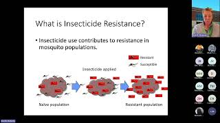 Special Topic WebinarIntroduction to Insecticide Resistance in Mosquitoes [upl. by Flavia260]