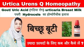 Urtica Urens Q homeopathic medicine  Treatment  Dosage  Symptoms amp uses in hindi  Dr Syed Sadia [upl. by Sybyl]