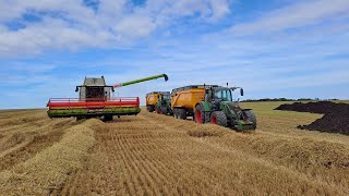 CEST REPARTI DANS LES BLES 1 mois à la ferme 830 [upl. by Yenduhc313]